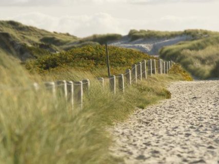 sylt natur